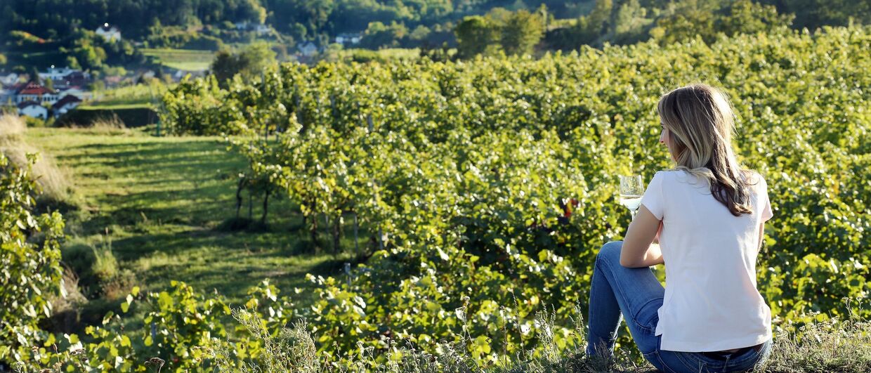 Das Traisental, ein kleines feines Weinbaugebiet südlich der Donau