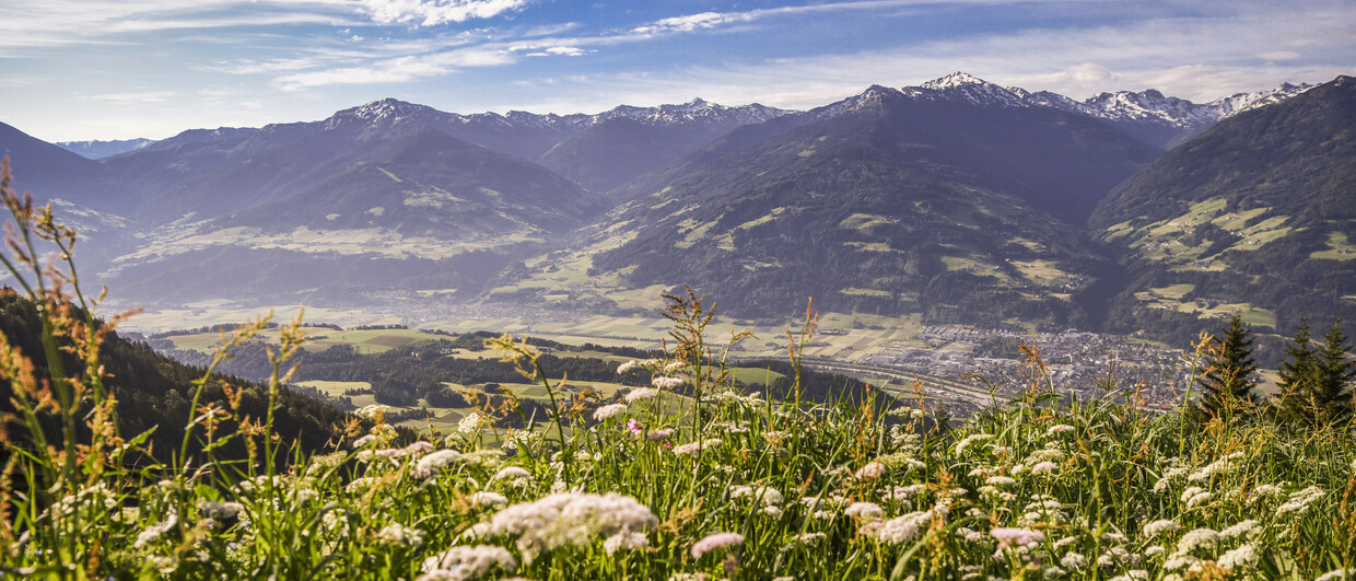 Bergwiese in der Region Hall-Wattens