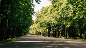 Wien Hauptallee im Prater