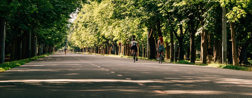 Wien Hauptallee im Prater