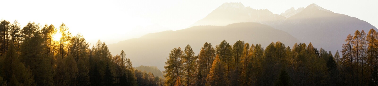 Im Herbst zu goldenen Lärchen wandern