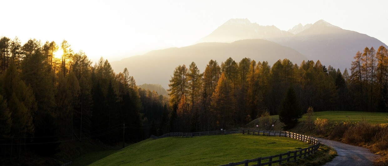 Im Herbst zu goldenen Lärchen wandern