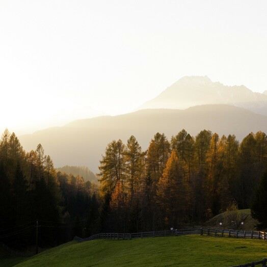 Im Herbst zu goldenen Lärchen wandern