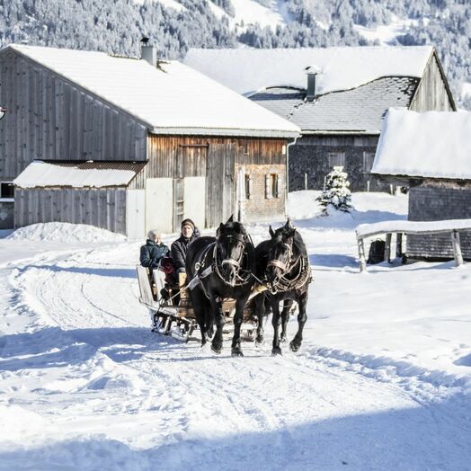 Im Schritttempo durch den Bregenzerwald