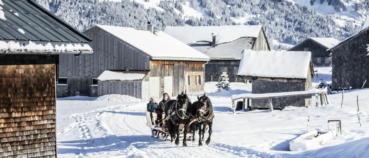 Im Schritttempo durch den Bregenzerwald