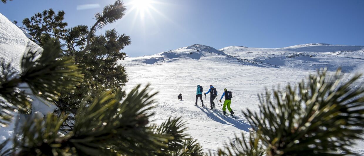Schneeschuhwanderungen im Kleinwalsertal in Vorarlberg