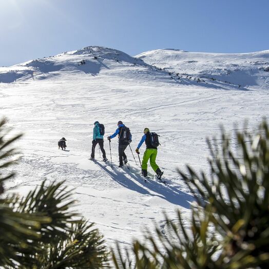 Schneeschuhwanderungen im Kleinwalsertal in Vorarlberg