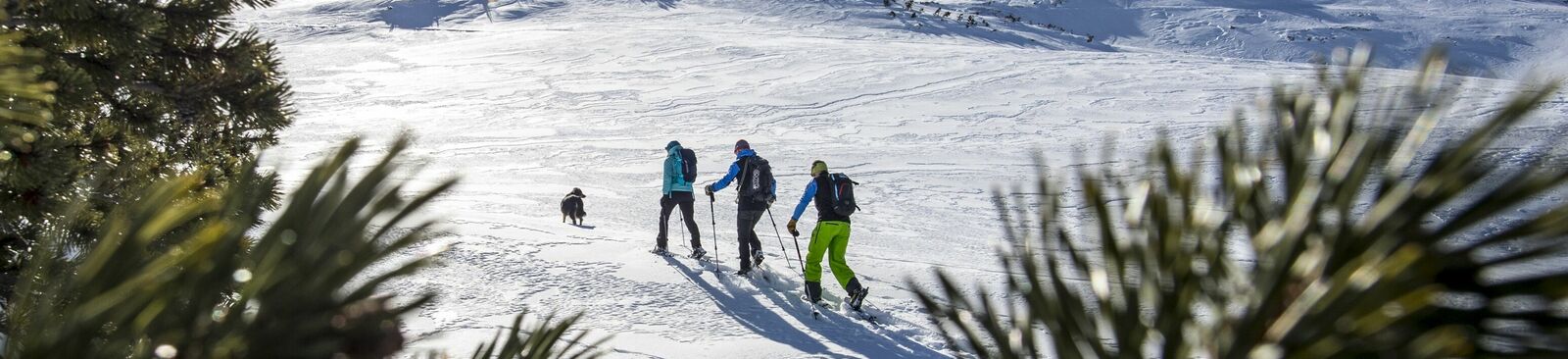 Schneeschuhwanderungen im Kleinwalsertal in Vorarlberg