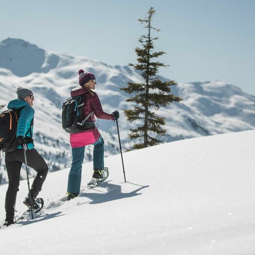 In der Silberregion Karwendel stehen 20 ausgeschilderte Schneeschuhrouten zur Wahl.