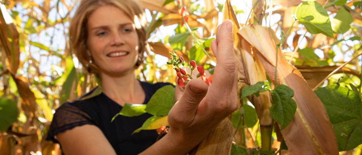 Michaela Summer im Käferbohnenfeld
