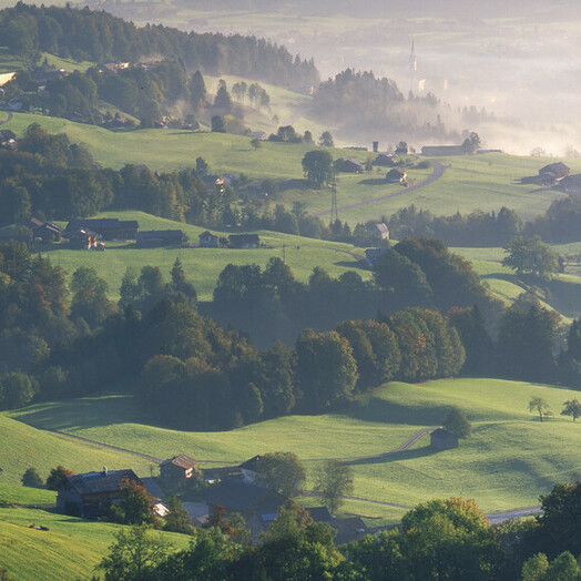 Bregenzerwald (c) Österreich Werbung / Popp & Hackner