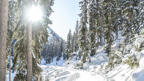 Winter im Verwall