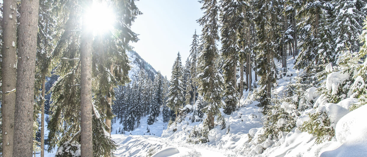 Winter im Verwall