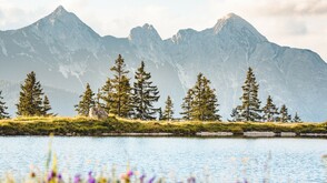 Kaltwassersee auf der Rosshütte über Seefeld