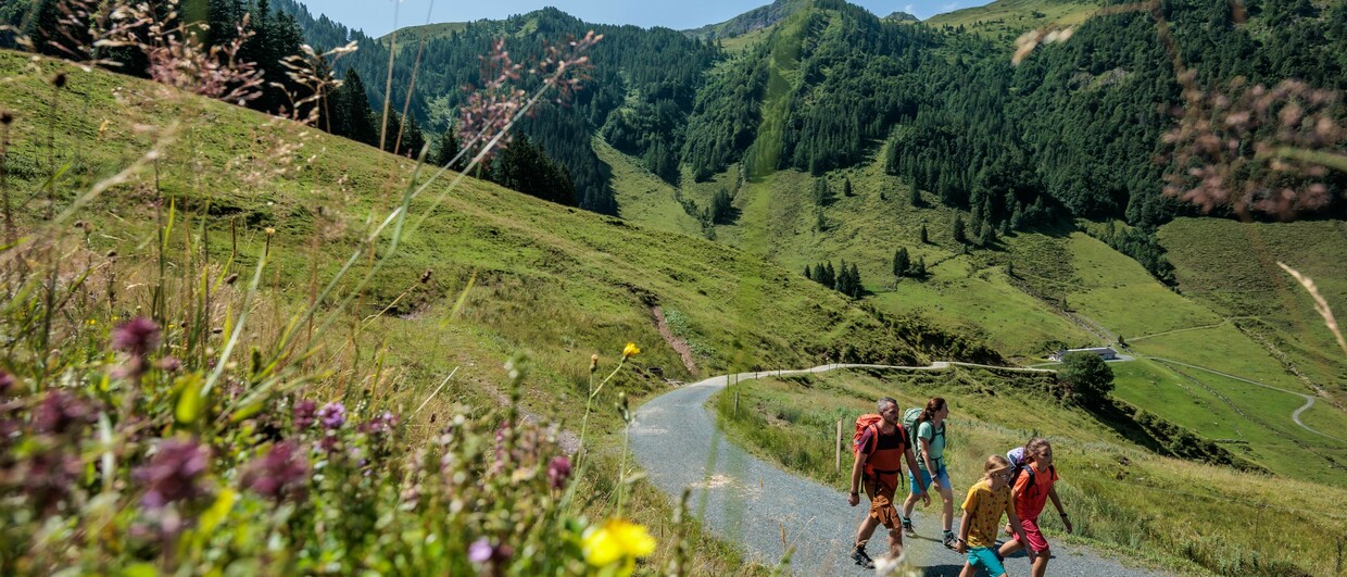 KAT Walk Kitzbüheler Alpen