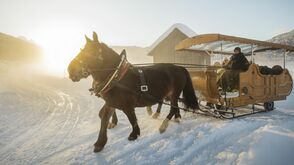 Pferdekutschenfahrten in Gosau am Fuße des Dachsteins
