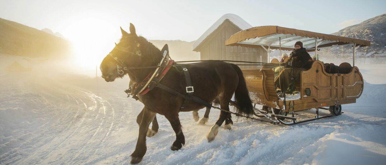 Pferdekutschenfahrten in Gosau am Fuße des Dachsteins