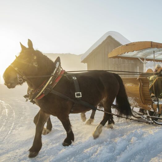 Pferdekutschenfahrten in Gosau am Fuße des Dachsteins