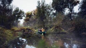 Kanufahrt im Nationalpark Donau-Auen