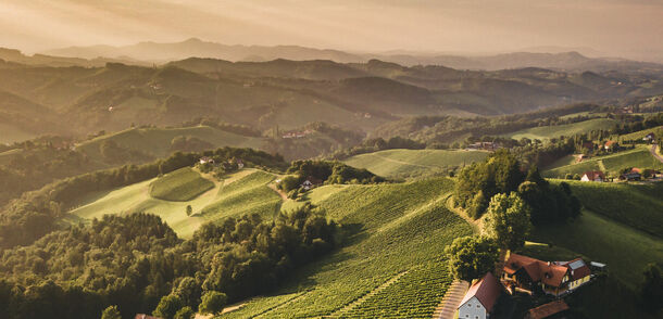 Südsteirische Weinstrasse
