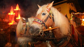 Mit der Pferdekutsche zum Adventmarkt