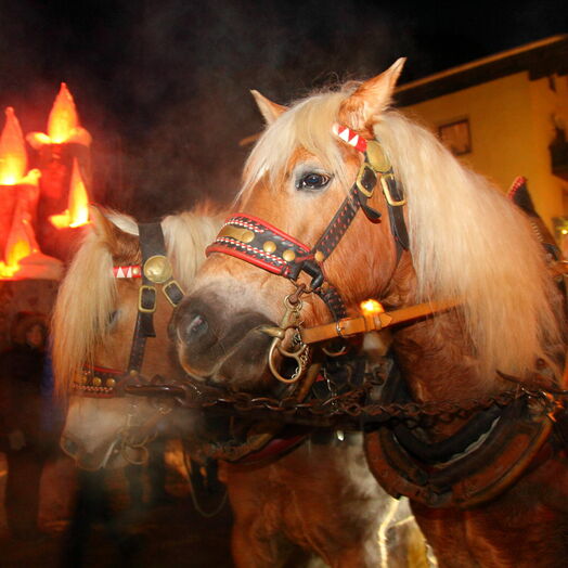 Mit der Pferdekutsche zum Adventmarkt