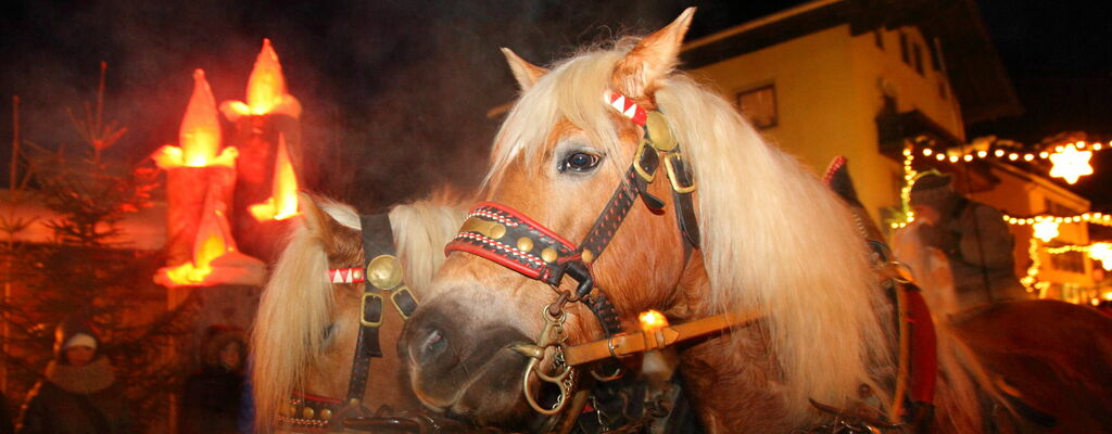 Mit der Pferdekutsche zum Adventmarkt