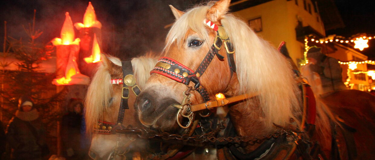 Mit der Pferdekutsche zum Adventmarkt