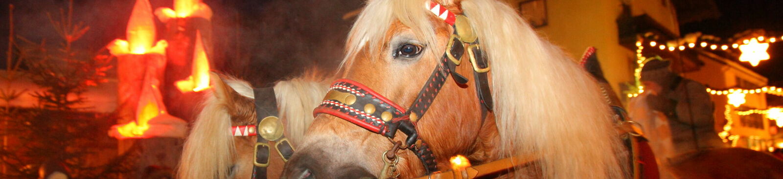 Mit der Pferdekutsche zum Adventmarkt