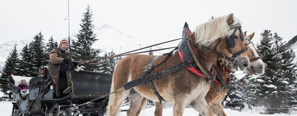 Ausfahrten mit dem Pferdeschlitten bietet der Reithof Pitztal an.