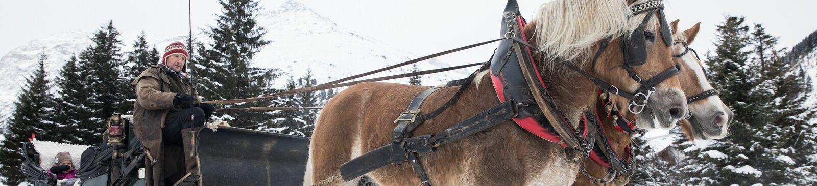 Ausfahrten mit dem Pferdeschlitten bietet der Reithof Pitztal an.