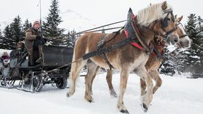 Ausfahrten mit dem Pferdeschlitten bietet der Reithof Pitztal an.