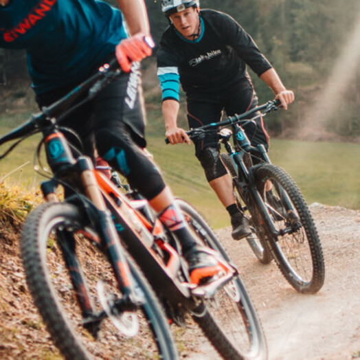 Mountainbiken Baumgartnerhöhe