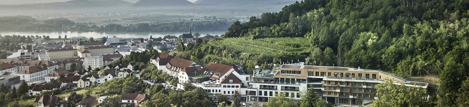 Weinberge umgeben das Steigenberger Hotel & Spa Krems an der Donau.