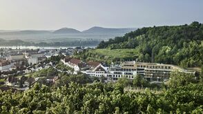 Weinberge umgeben das Steigenberger Hotel & Spa Krems an der Donau.