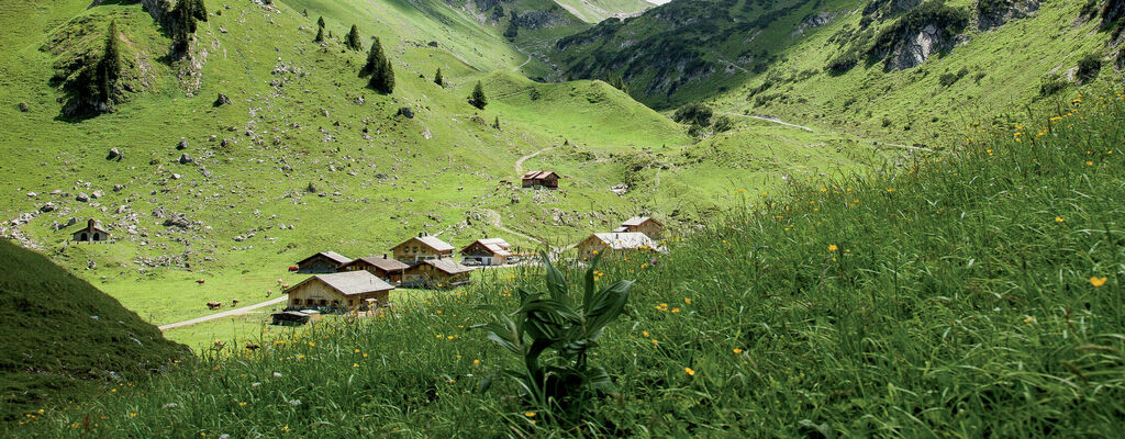 Alpe Laguz im Großen Walsertal (Walserweg E 21)