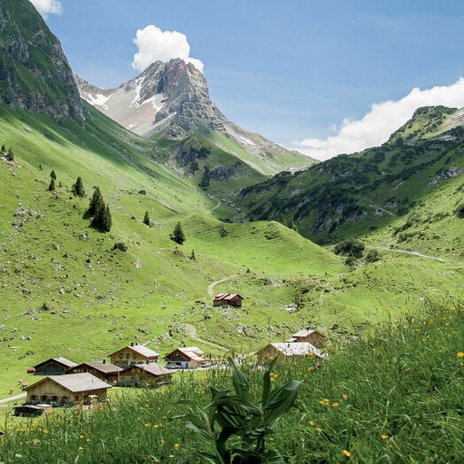 Alpe Laguz im Großen Walsertal (Walserweg E 21)