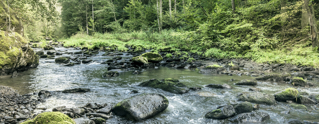 Mühlviertler Granitland
