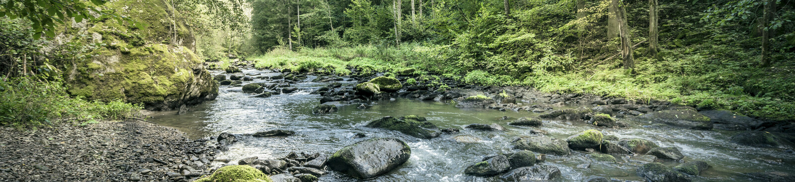 Mühlviertler Granitland