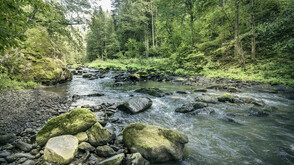 Mühlviertler Granitland