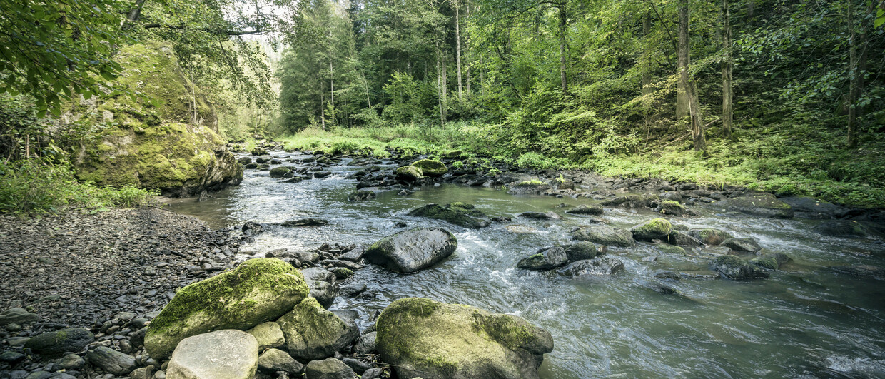 Mühlviertler Granitland