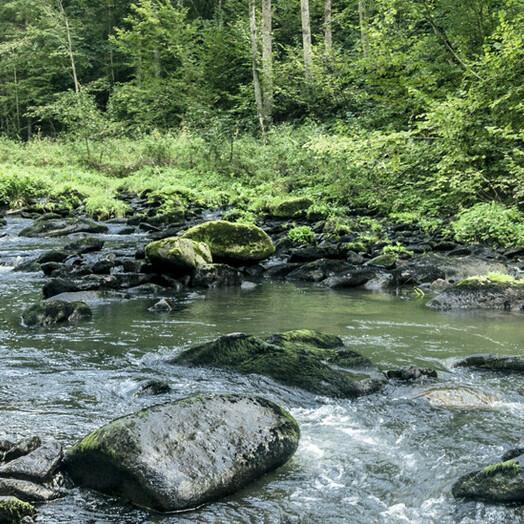 Mühlviertler Granitland