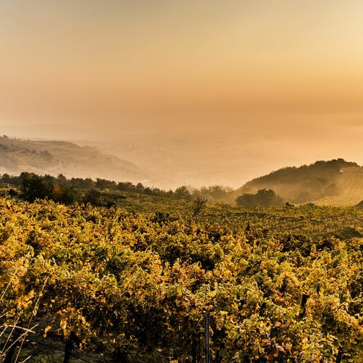 Herbst in der Wachau an der Donau