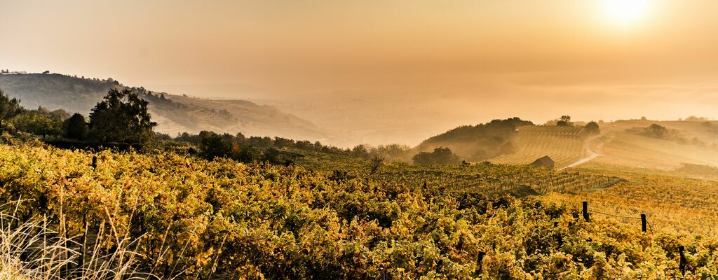 Herbst in der Wachau an der Donau