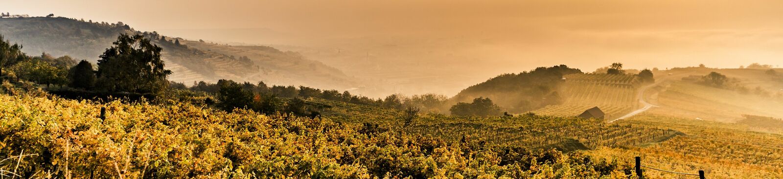 Herbst in der Wachau an der Donau