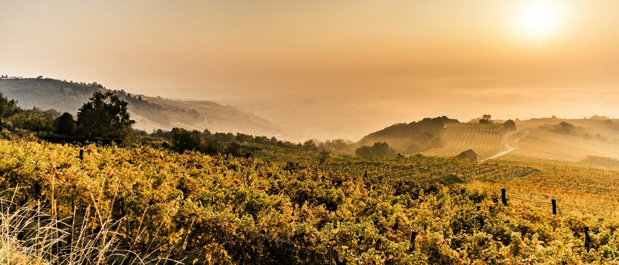 Herbst in der Wachau an der Donau