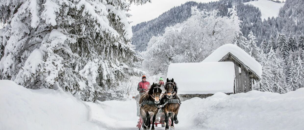 Mit dem Pferdeschlitten durch die malerische Landschaft am Weissensee