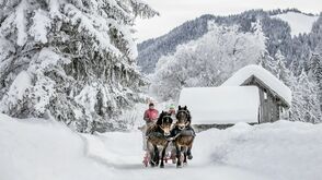Mit dem Pferdeschlitten durch die malerische Landschaft am Weissensee