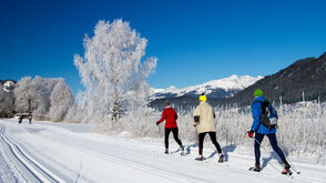 Zwischen See und Bergen: Langlaufen am Weissensee