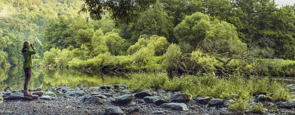 In urwüchsigen Wäldern: Nationalpark Thayatal